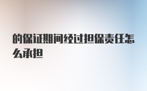 的保证期间经过担保责任怎么承担