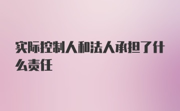 实际控制人和法人承担了什么责任