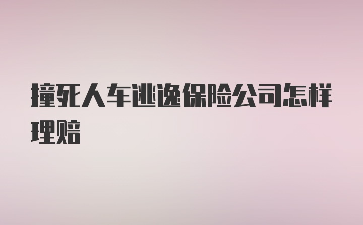 撞死人车逃逸保险公司怎样理赔