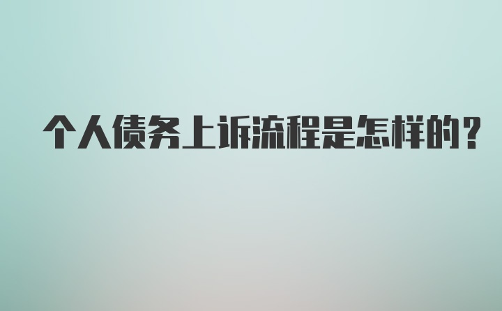 个人债务上诉流程是怎样的？