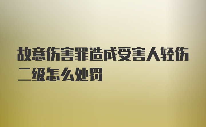 故意伤害罪造成受害人轻伤二级怎么处罚