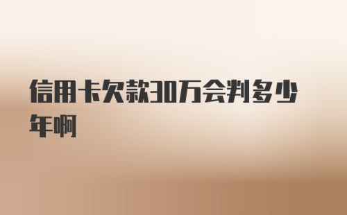 信用卡欠款30万会判多少年啊