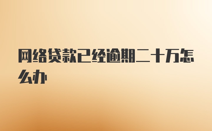 网络贷款已经逾期二十万怎么办