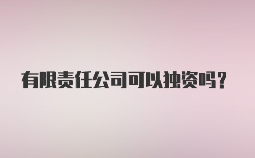 有限责任公司可以独资吗？