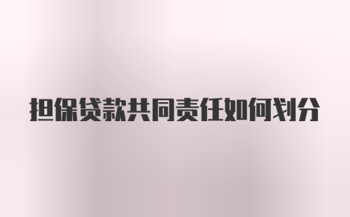 担保贷款共同责任如何划分