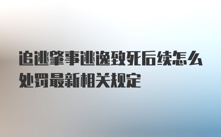 追逃肇事逃逸致死后续怎么处罚最新相关规定