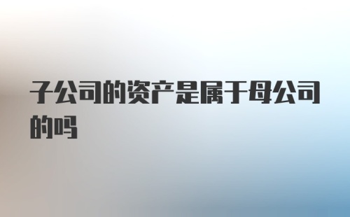 子公司的资产是属于母公司的吗