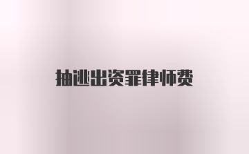 抽逃出资罪律师费