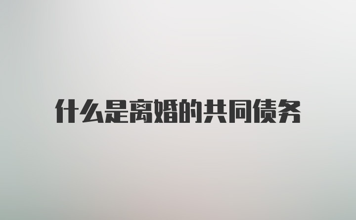 什么是离婚的共同债务