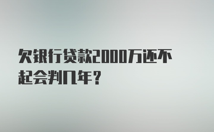 欠银行贷款2000万还不起会判几年?