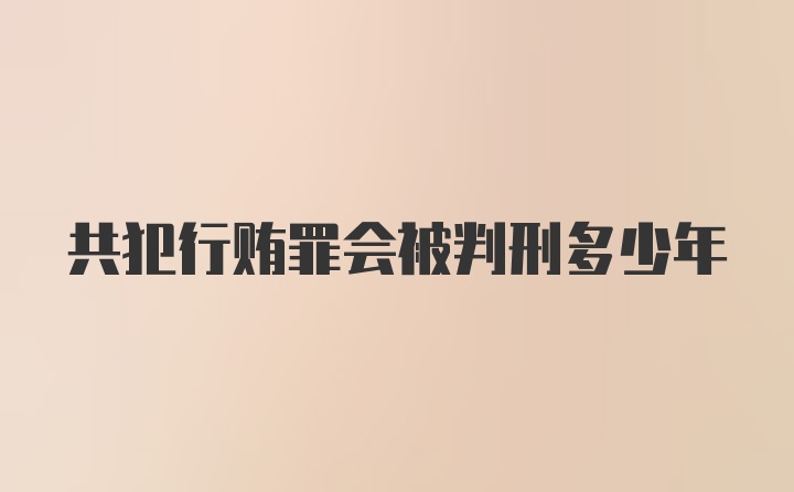 共犯行贿罪会被判刑多少年