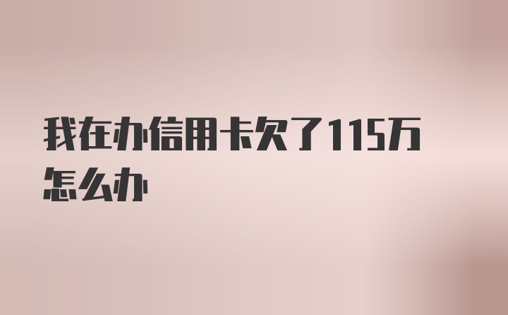 我在办信用卡欠了115万怎么办