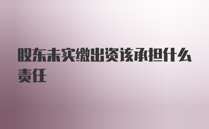 股东未实缴出资该承担什么责任