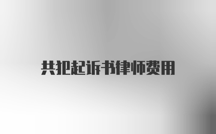 共犯起诉书律师费用