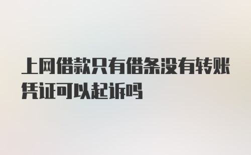 上网借款只有借条没有转账凭证可以起诉吗