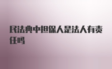 民法典中担保人是法人有责任吗