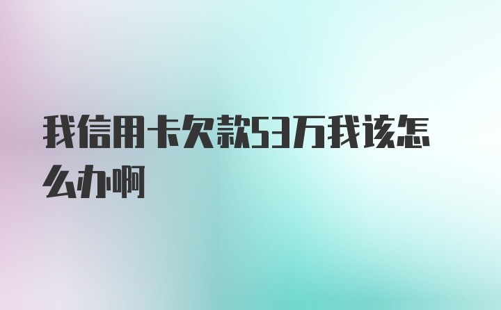 我信用卡欠款53万我该怎么办啊