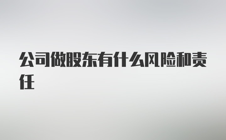 公司做股东有什么风险和责任