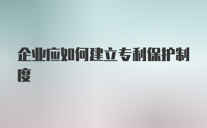 企业应如何建立专利保护制度