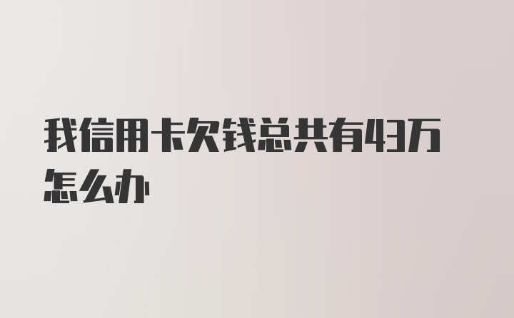 我信用卡欠钱总共有43万怎么办