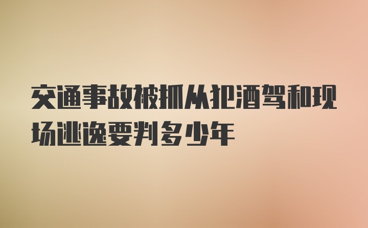 交通事故被抓从犯酒驾和现场逃逸要判多少年