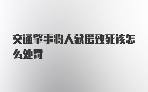 交通肇事将人藏匿致死该怎么处罚