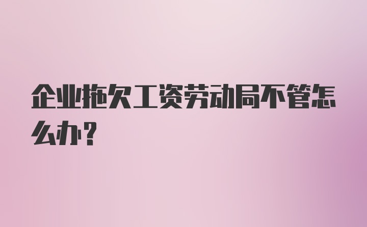 企业拖欠工资劳动局不管怎么办？