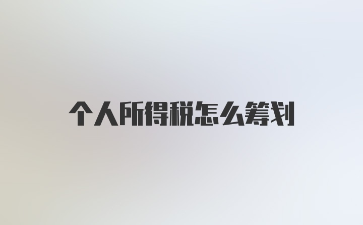 个人所得税怎么筹划