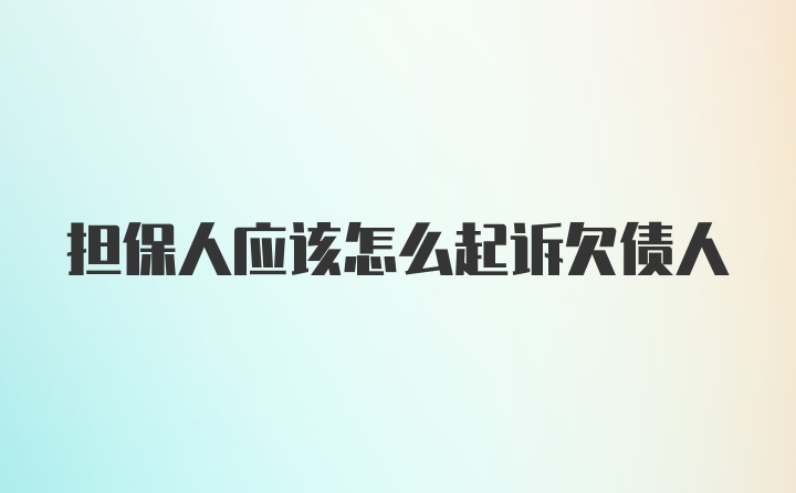 担保人应该怎么起诉欠债人