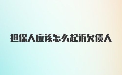 担保人应该怎么起诉欠债人