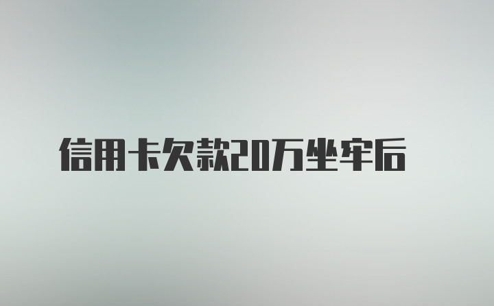 信用卡欠款20万坐牢后