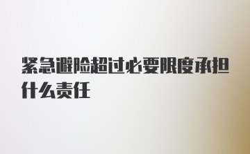 紧急避险超过必要限度承担什么责任