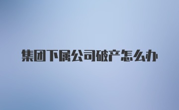 集团下属公司破产怎么办