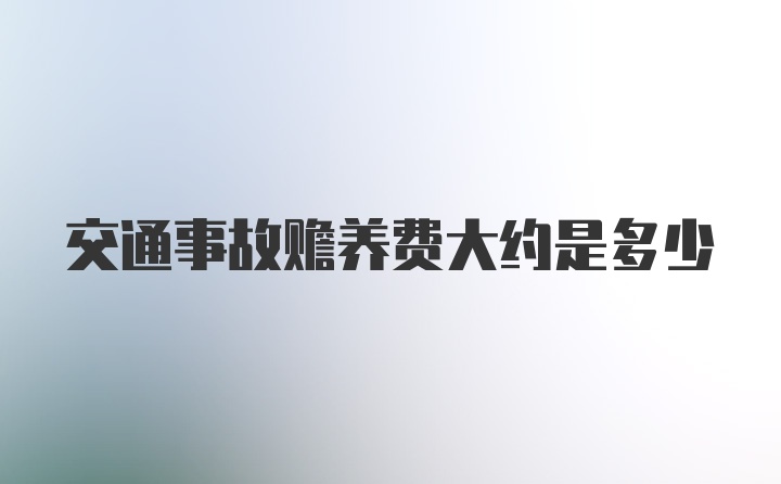 交通事故赡养费大约是多少