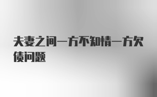 夫妻之间一方不知情一方欠债问题