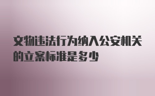 文物违法行为纳入公安机关的立案标准是多少