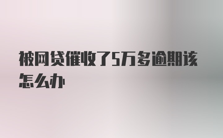 被网贷催收了5万多逾期该怎么办