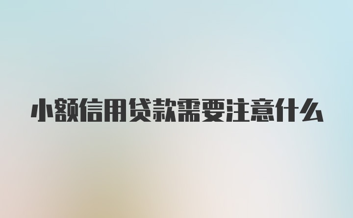 小额信用贷款需要注意什么