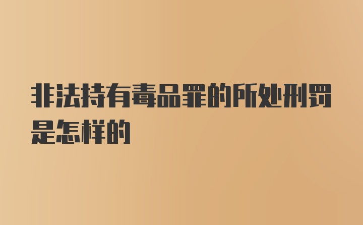 非法持有毒品罪的所处刑罚是怎样的