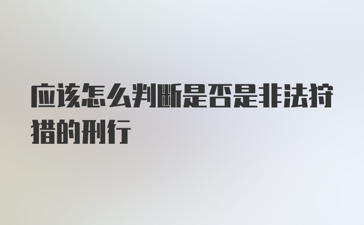 应该怎么判断是否是非法狩猎的刑行