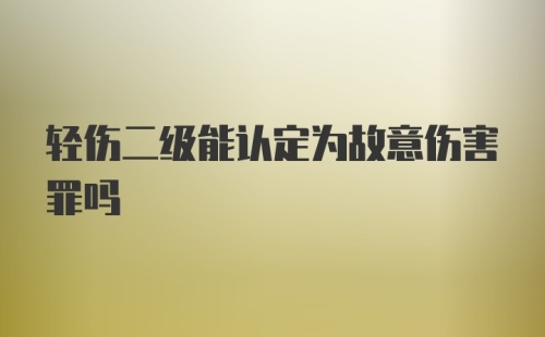 轻伤二级能认定为故意伤害罪吗