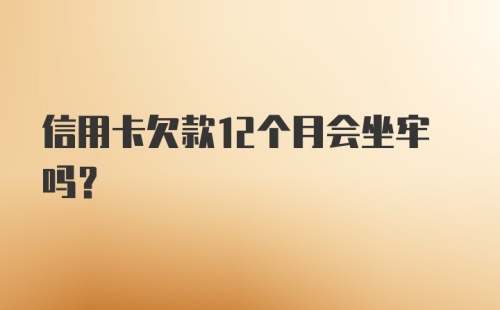 信用卡欠款12个月会坐牢吗？