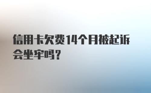 信用卡欠费14个月被起诉会坐牢吗？