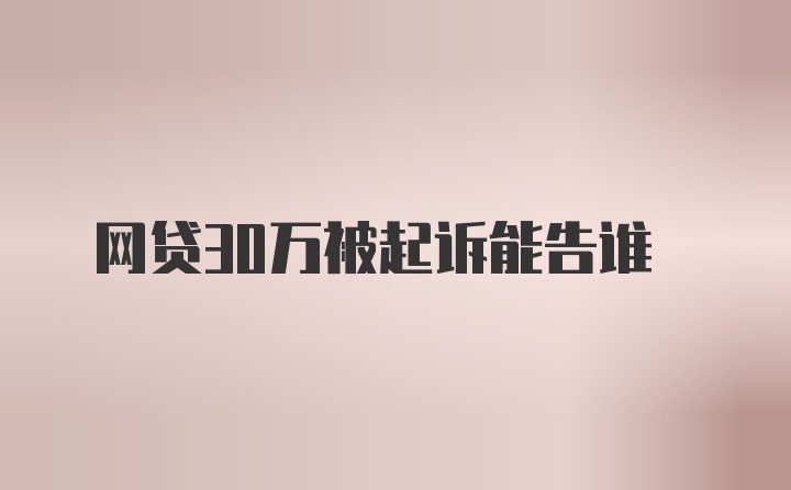 网贷30万被起诉能告谁