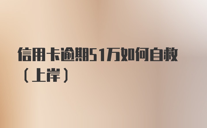 信用卡逾期51万如何自救（上岸）