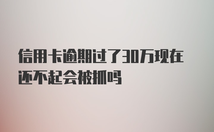 信用卡逾期过了30万现在还不起会被抓吗