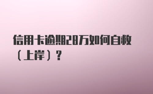 信用卡逾期28万如何自救（上岸）？