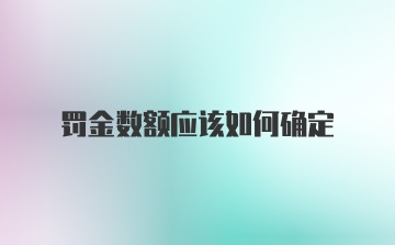 罚金数额应该如何确定