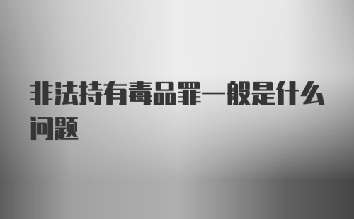 非法持有毒品罪一般是什么问题