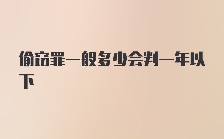 偷窃罪一般多少会判一年以下